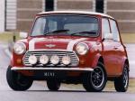Rover Mini Cooper Monte Carlo 1994 года